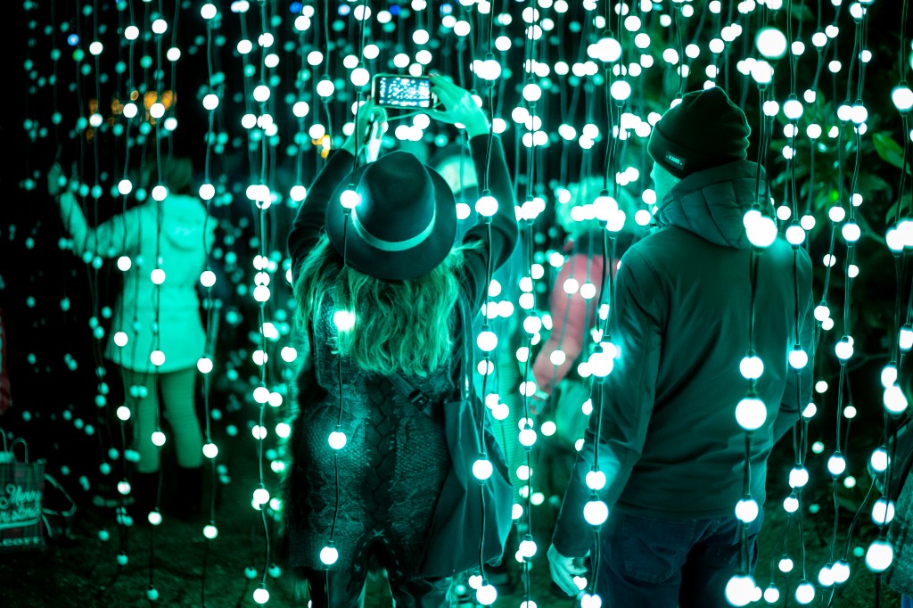 trame-di-luce-installazione-carillon-di-luci-allorto-botanico-di-roma